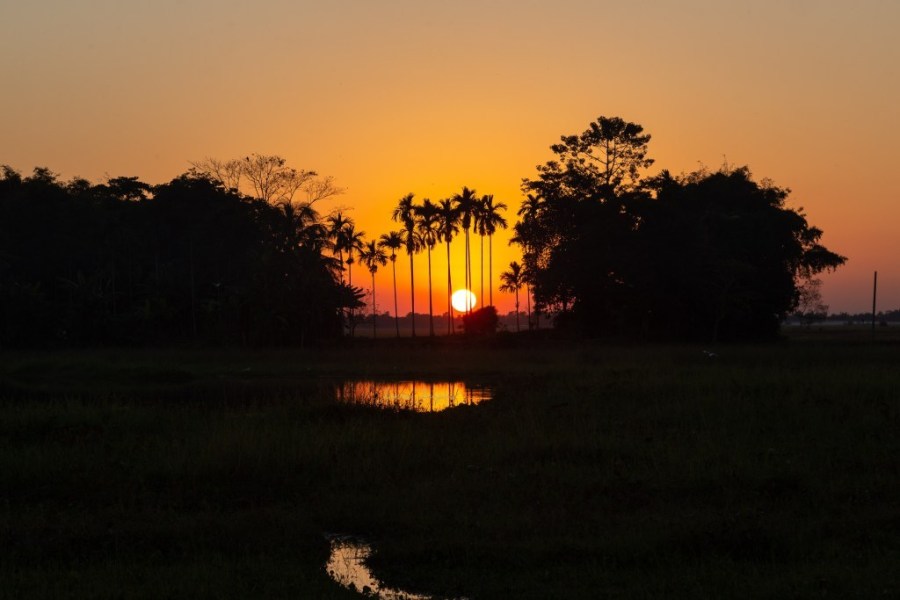 North East Tour Package